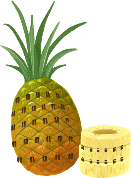 Pineapple Cartoon Clip Art - Pineapple (800x800)