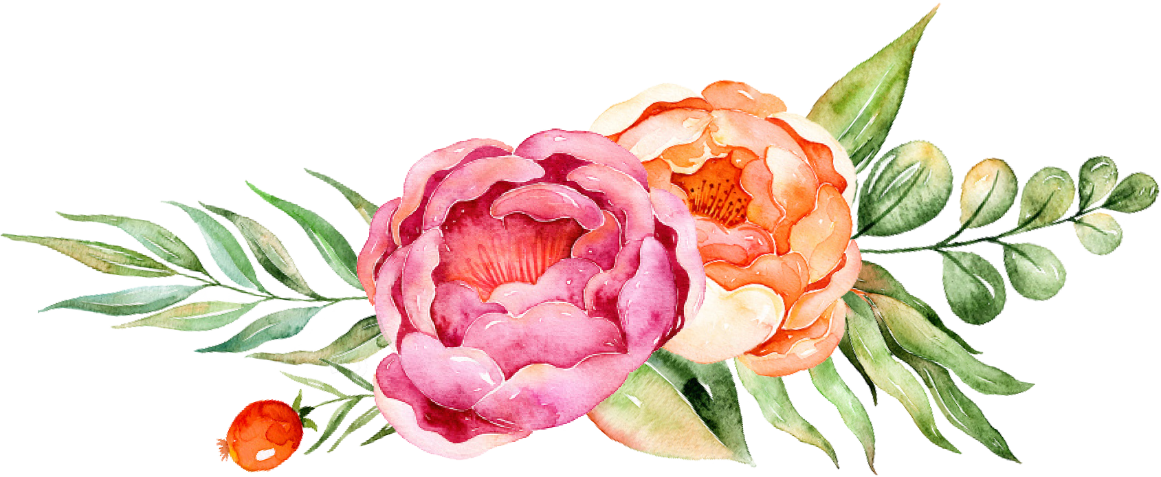 РџРёРѕРЅ Rose Tulip