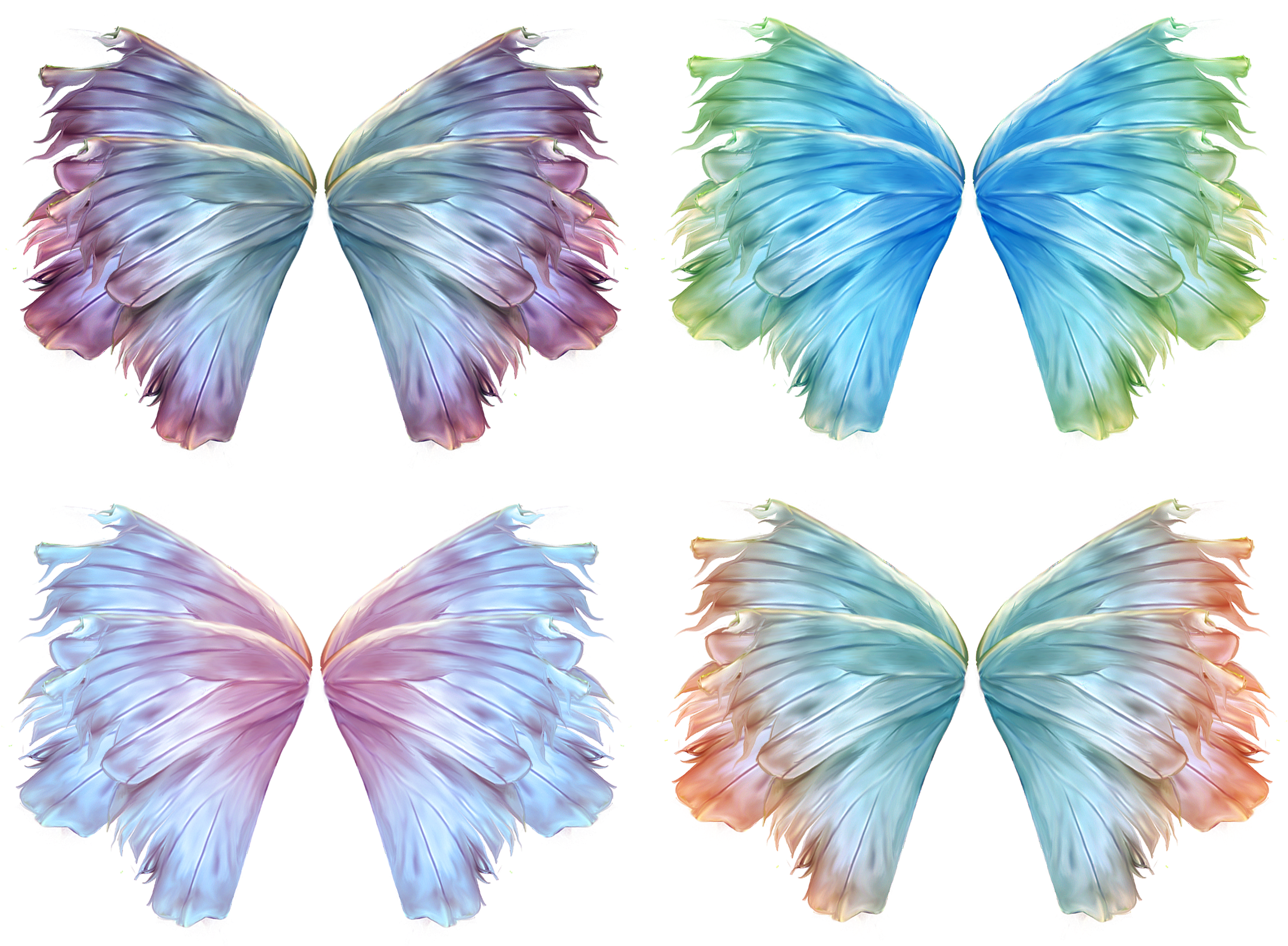Разные крылья бабочек. Крылья бабочки. Разноцветные Крылья. Крылья бабочки для фотошопа. Крылья бабочки клипарт.