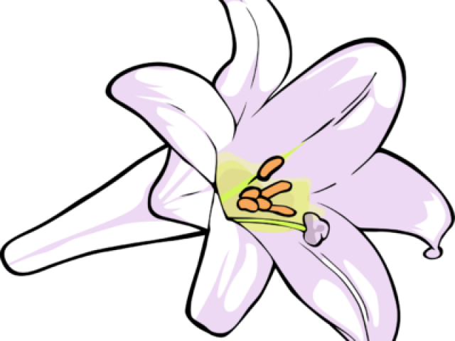 Lily Clipart Cartoon - Lily (640x480)
