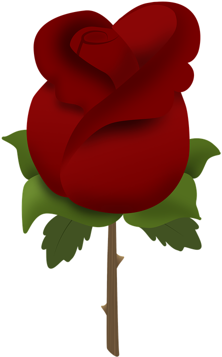 rosebush clipart heart