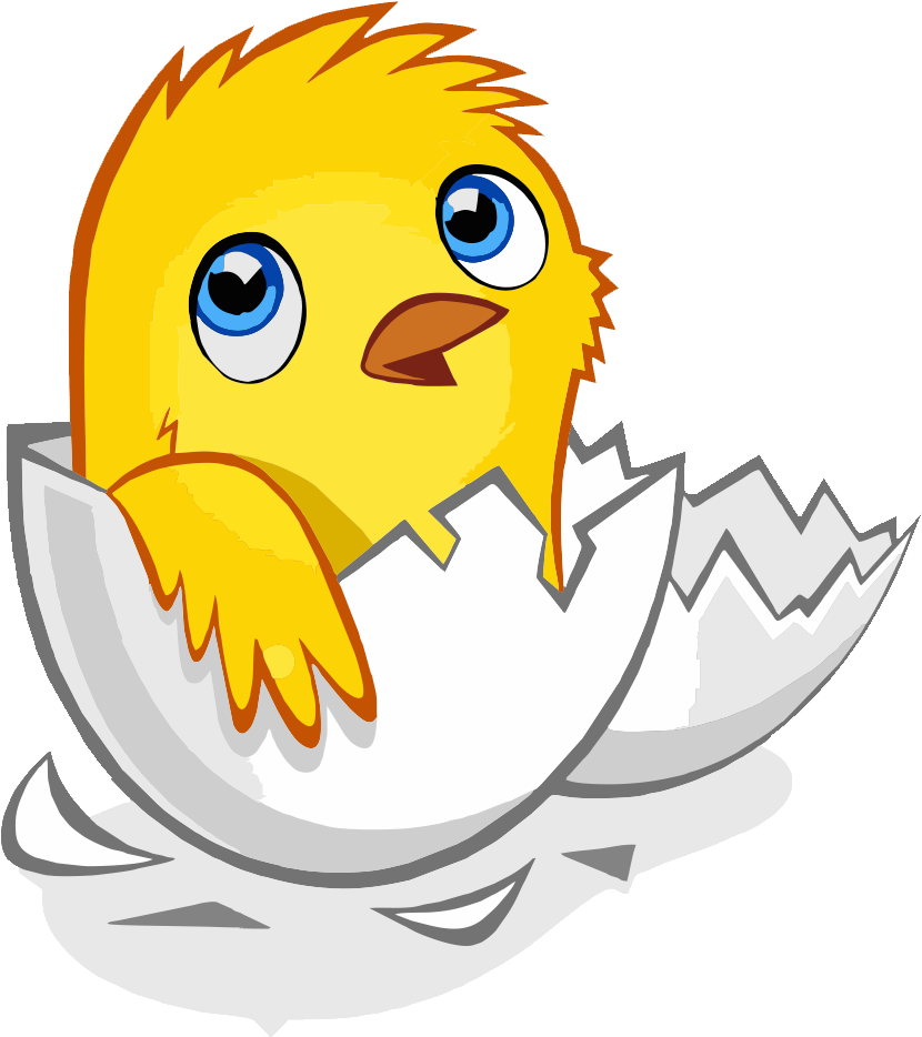 Chicken Egg Kifaranga Hen - Liten Kylling I Egget Lå - (880x948) Png ...