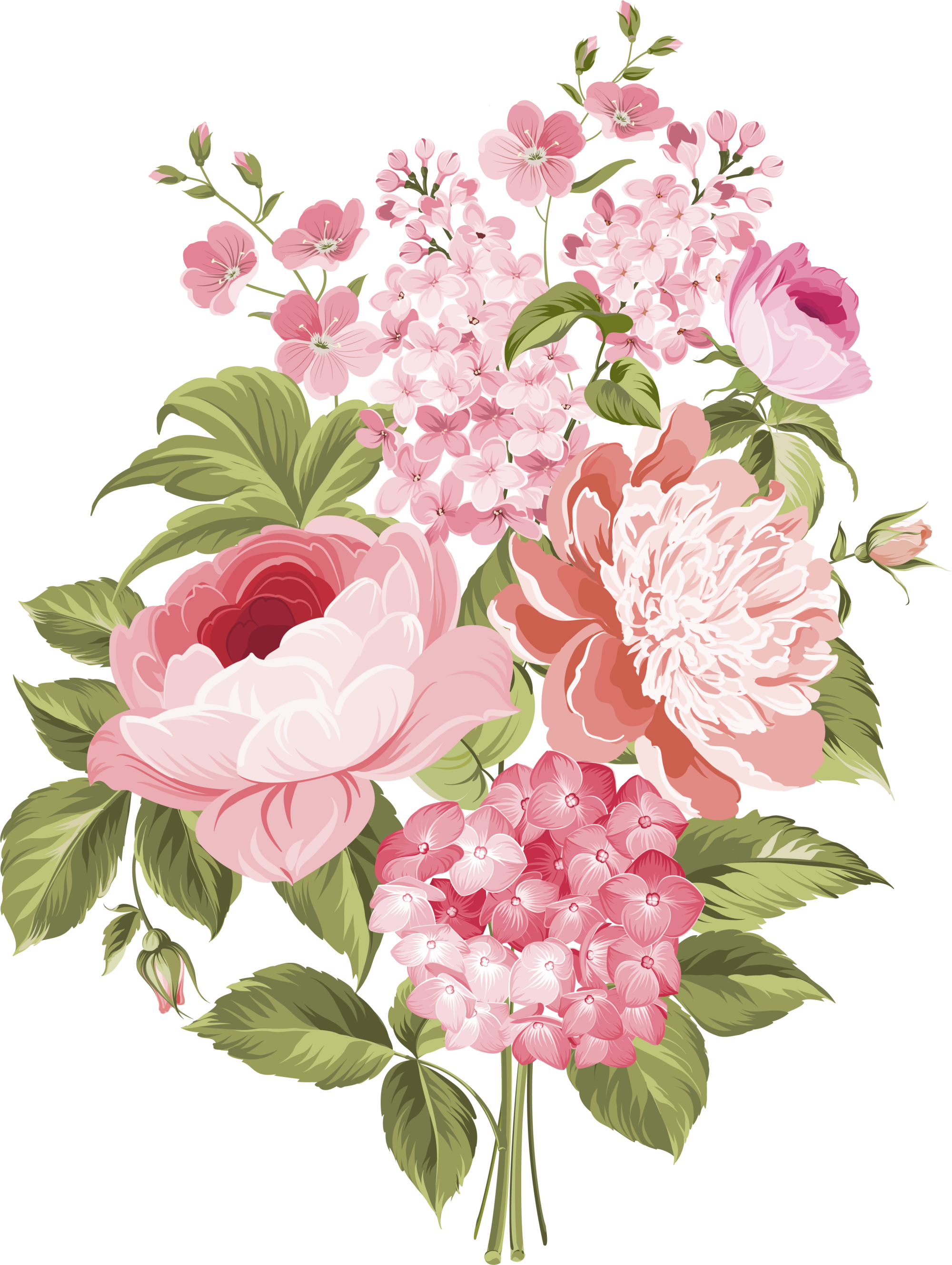 Flower illustration. Акварельные пионы вектор. Цветы иллюстрация. Нарисовать цветы. Векторные цветы розовые.