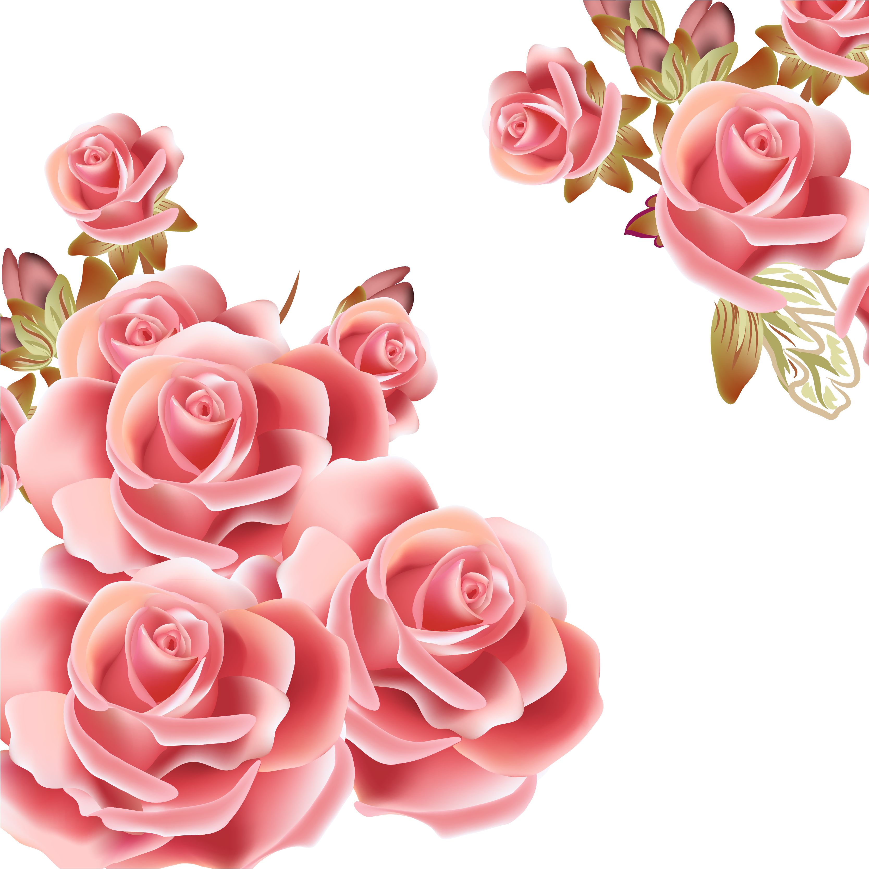 Flower Rose Pink Clip Art - Flower Rose Pink Clip Art - (4272x361...