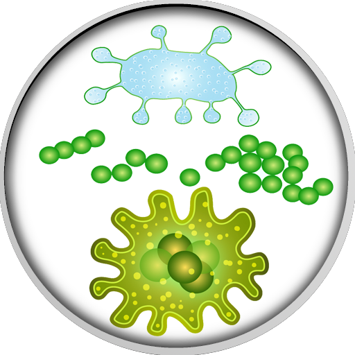 Bacteria Microorganism Microbiota Virus Human Microbiota 512x512 Png Clipart Download 7105