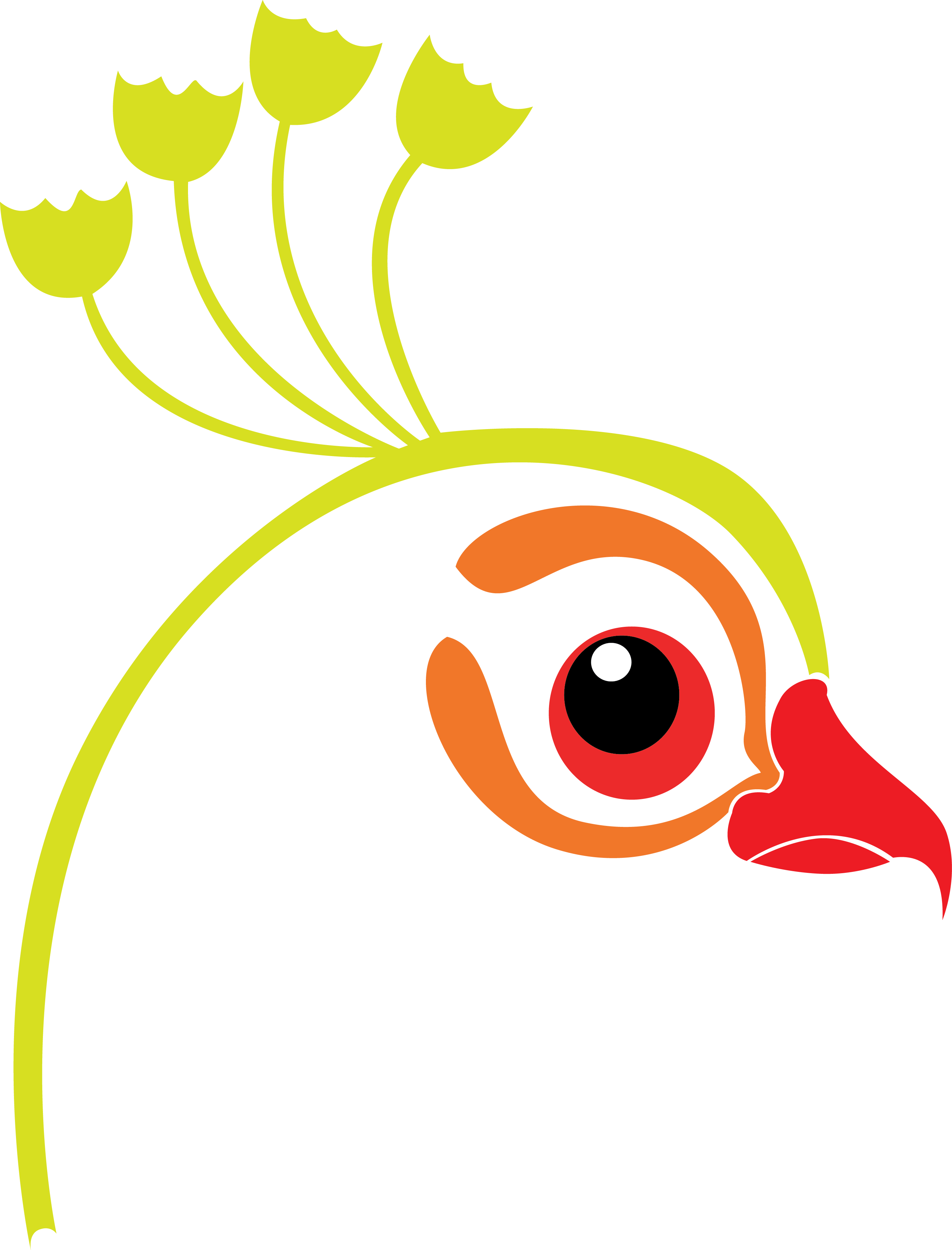 Peacock - Peacock (2861x3755)