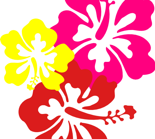 Hawaiian Flower Clip Art Three Flowers - Hibiscus Clip Art - (495x445 ...