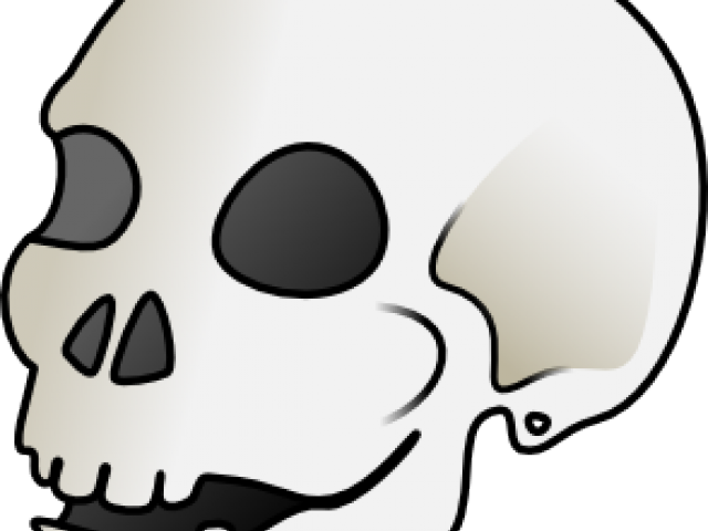 Skeleton Clipart Nose - Skull Head Cartoon Transparent (640x480)