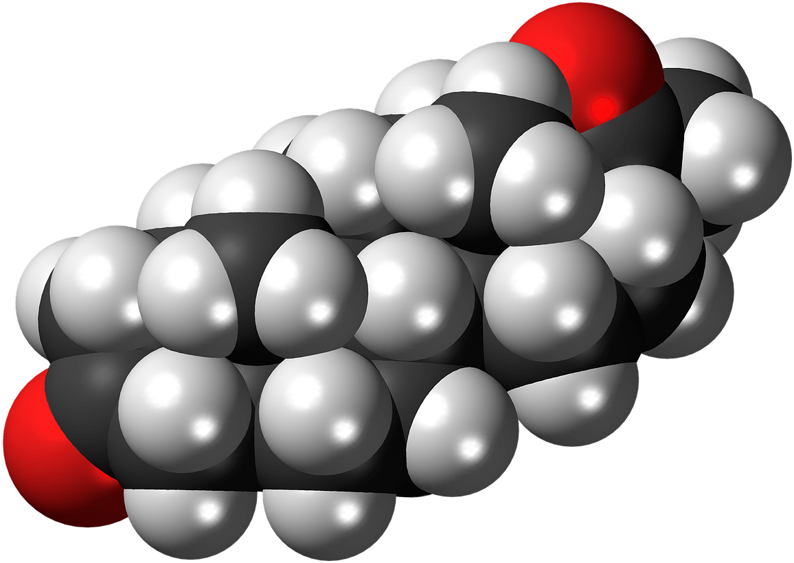 Hormone - Molécule De Progestérone (1280x945)