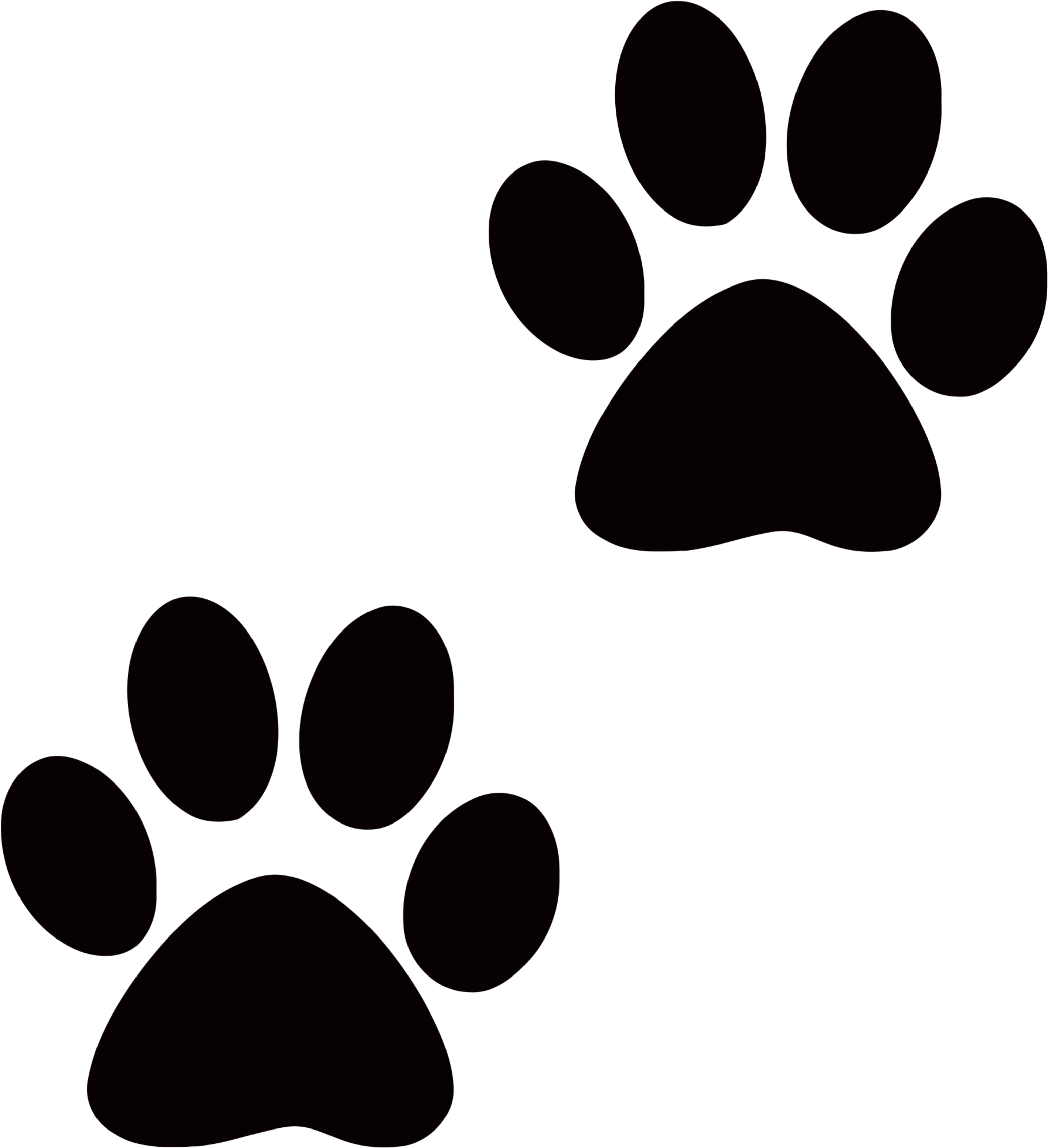 Tiger Paws Clipart Dog Paw Transparent Background 3333x3541 Png Clipart Download