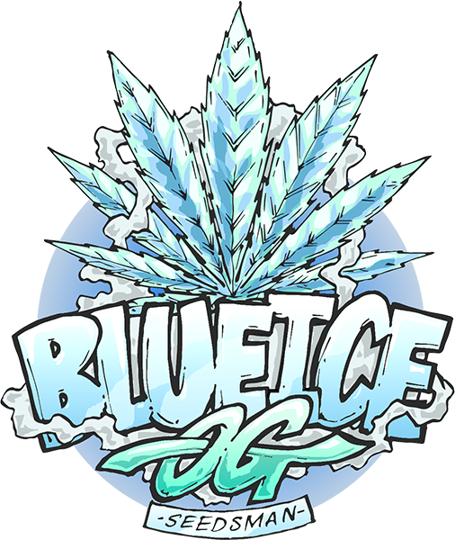 Blue Ice Og Was Created By Crossing An Elite Clone - Blue Ice Og Was Created By Crossing An Elite Clone (506x600)