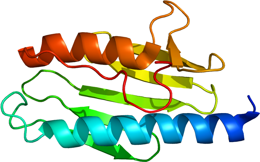 Friedreich's Ataxia Genetics (903x582)
