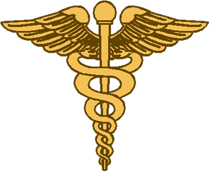 Commands - Army Nurse Corps Insignia - (434x385) Png Clipart Download