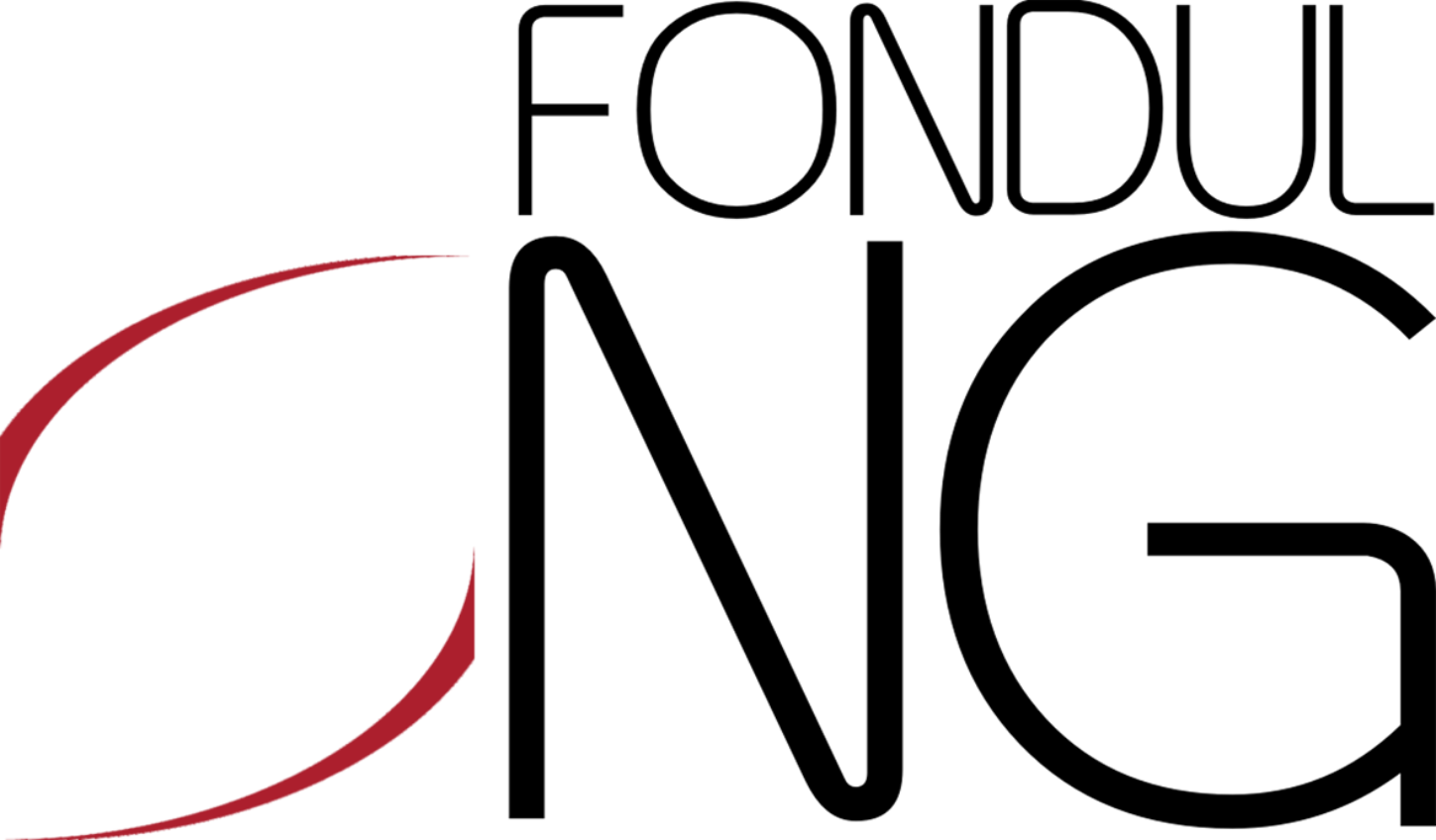 Eea Grants Logo Fondong Format Png - Fondul Ong (1449x848)