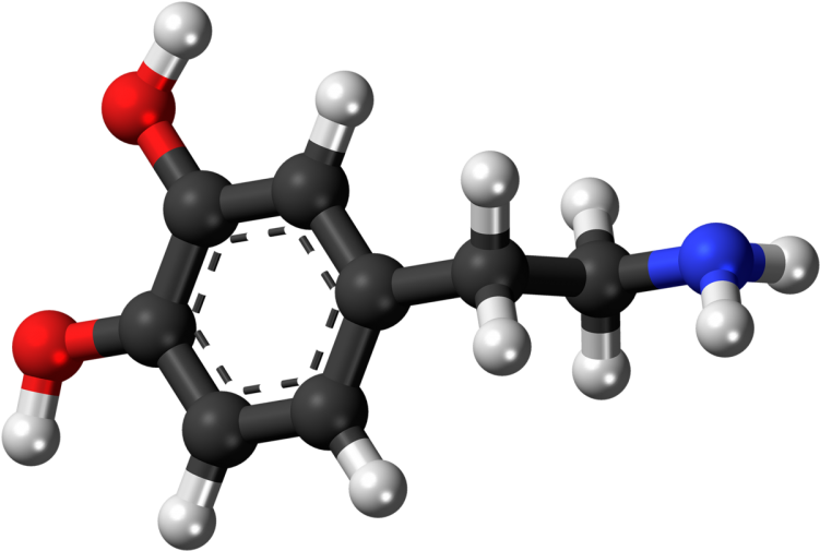 Amine Compounds (chemical Compounds) - (800x554) Png Clipart Download