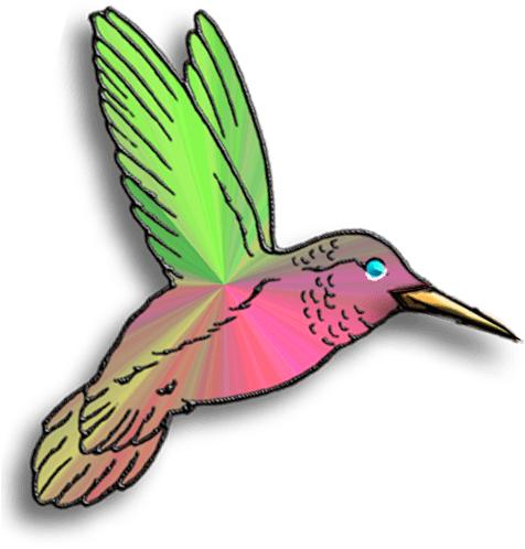 Channing Tatum Ion >> Rainforest Native People A Pics - Hummingbird Transparent Clip Art (512x512)