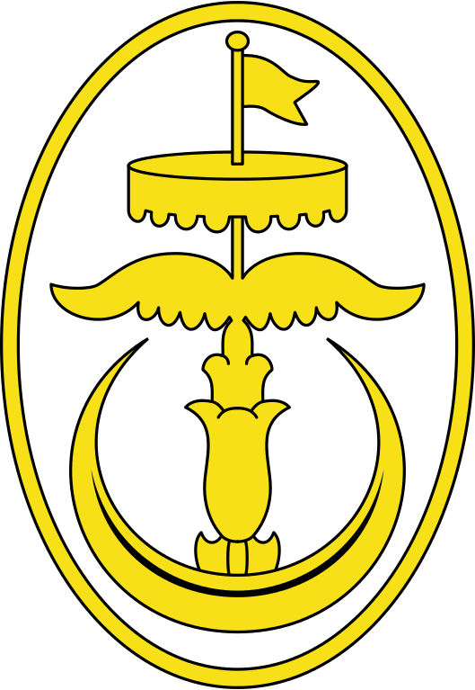 Emblem Of Brunei - Emblem Of Brunei (529x767)