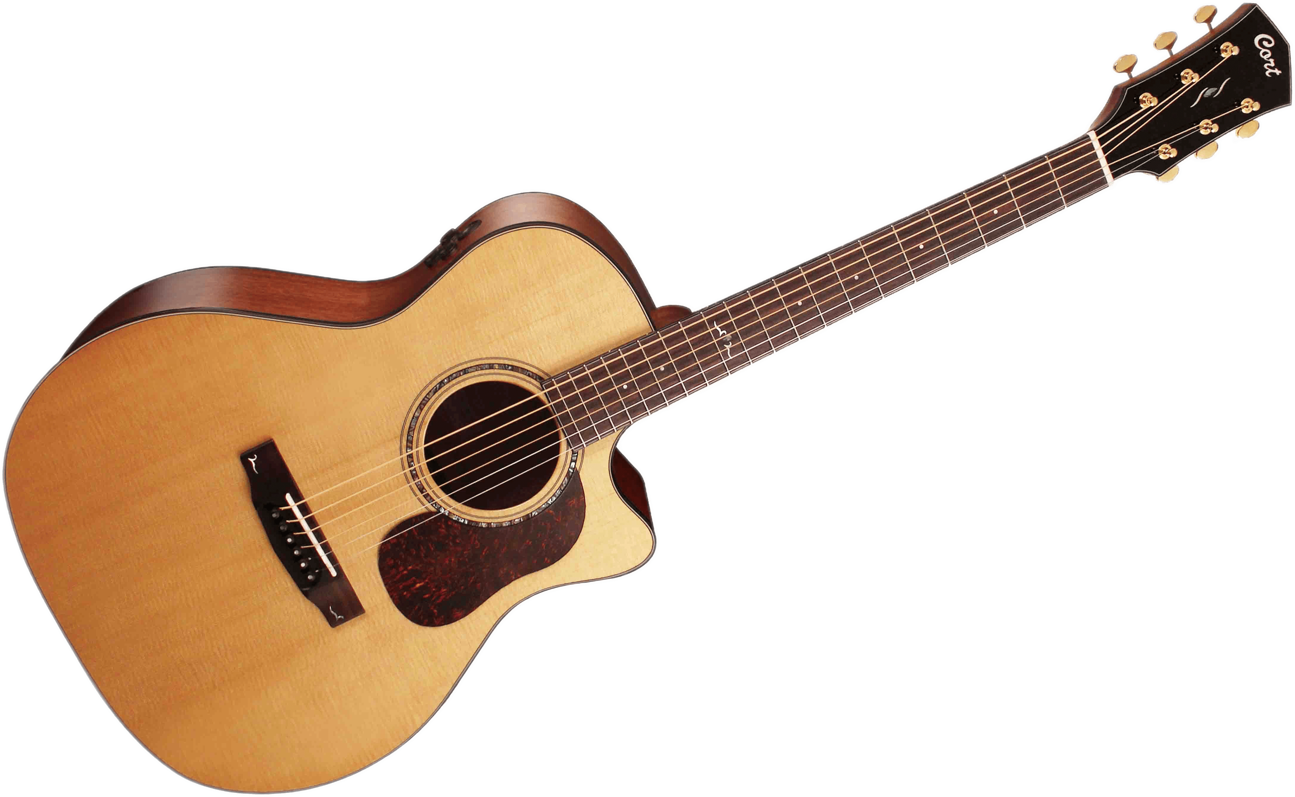 Acoustic guitar. Cort Gold-a6-Nat. Cort Gold a6. Cort Gold-a6-NS. Акустическая гитара guitarist.