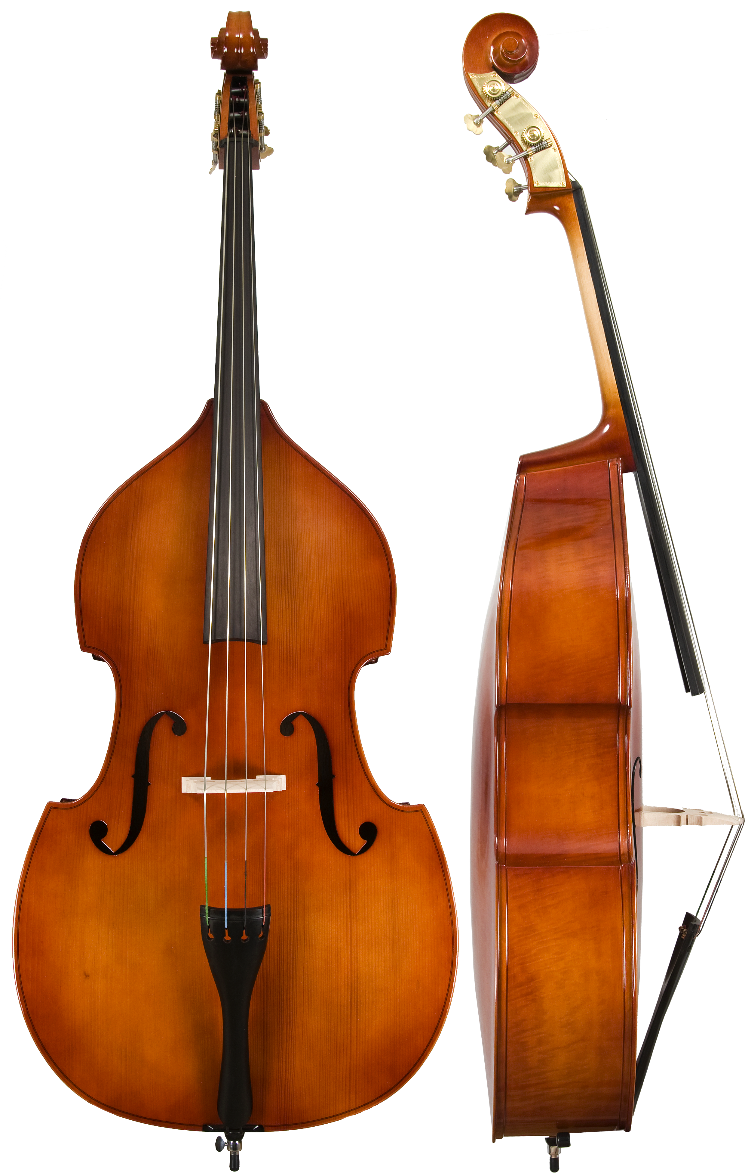 Double bass. Струнный смычковый инструмент бас. Контрабас струнные смычковые. Инструменты Альт, скрипка, контрабас. Скрипка бас Альт контрабас.