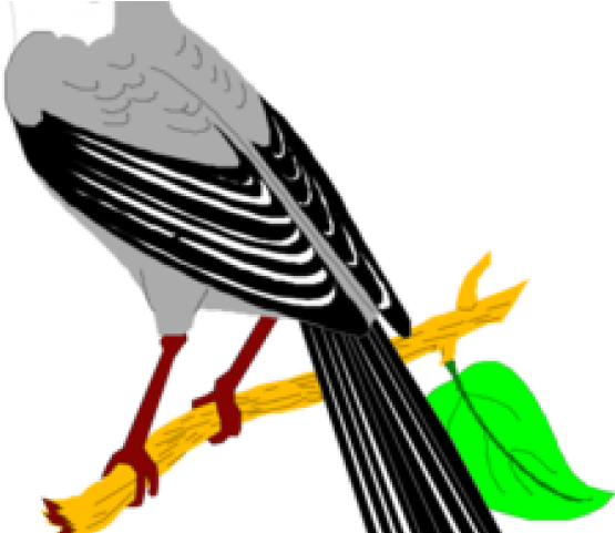 Mockingbird Clipart - Mockingbird Clipart (640x480)