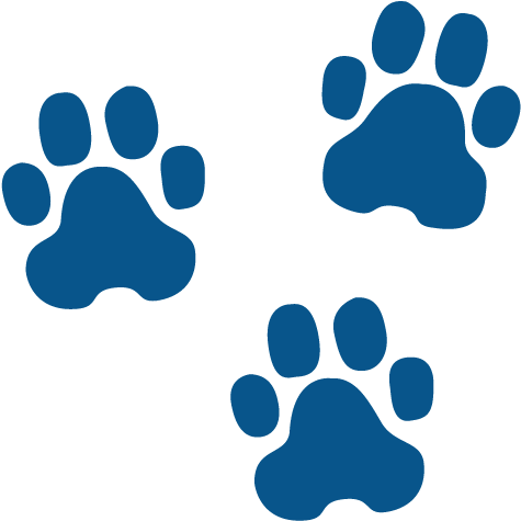 Pawprintsscreen - Blue Dog Paw Prints - Full Size PNG Clipart Images ...