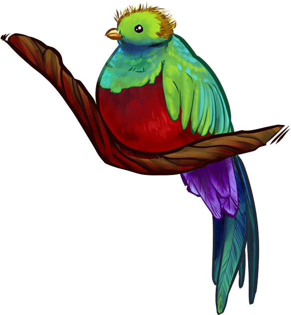 Quetzal Clipart Transparent - Quetzal Clipart Transparent (606x644)