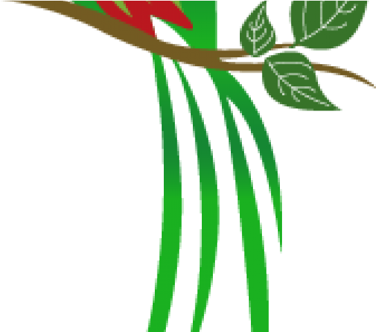Quetzal Clipart Transparent - Quetzal Clipart Transparent (640x480)