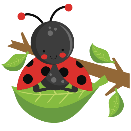 Home Sweet Home Clipart 326 Ladybug 3 Clip - Ladybug On A Leaf Clipart (432x432)