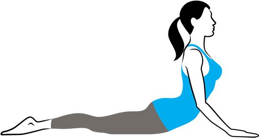 Cobra Pose Bhujangasana - Cobra Pose Bhujangasana - Full Size PNG ...