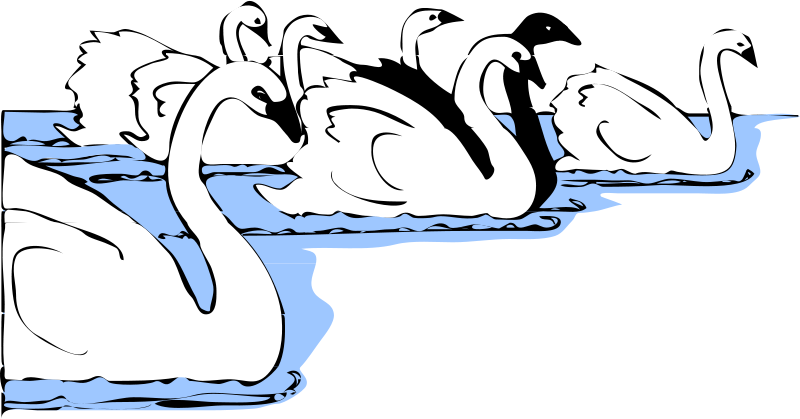 Free Swan And Frogs Free Architetto Cigni Bianchi E - Free Swan And Frogs Free Architetto Cigni Bianchi E (800x419)