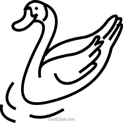 Swan Royalty Free Vector Clip Art Illustration - Swan Royalty Free Vector Clip Art Illustration (480x480)