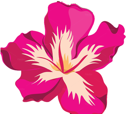 Tropical Flower Clipart - Tropical Flower Vector Png - Full Size PNG ...