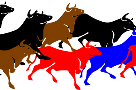 Bulls Clipart Stampede - Bulls Clipart Stampede - (450x300) Png Clipart ...