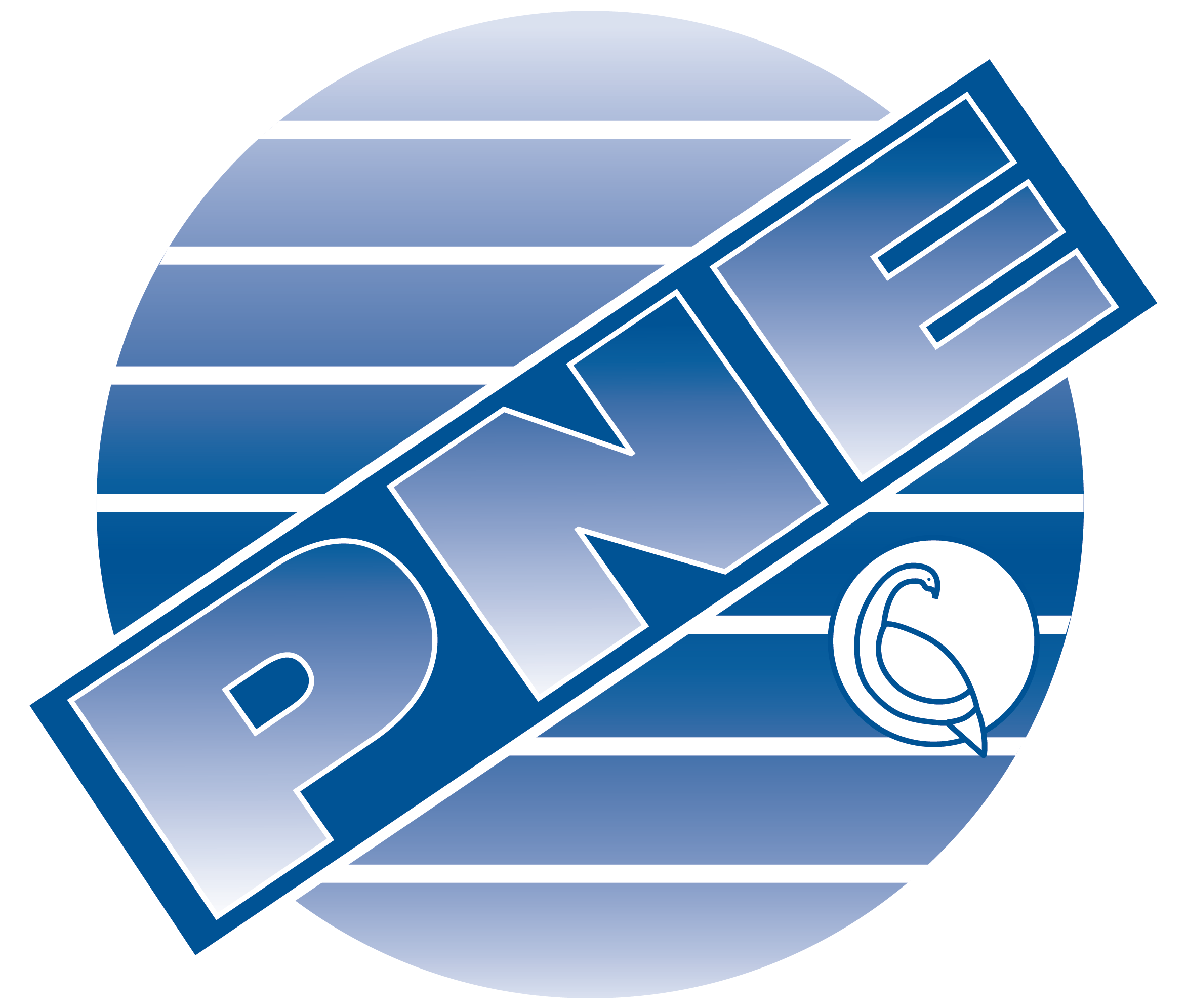 Pne Corporation Pne Corporation (2400x2400) Png Clipart Download