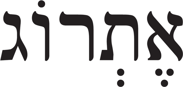 Hebrew - (1024x463) Png Clipart Download