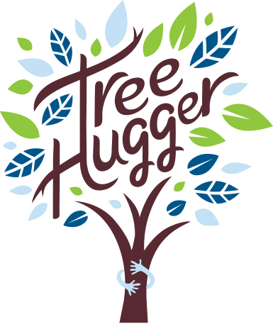 Tree Hugger - Illustration - (385x457) Png Clipart Download