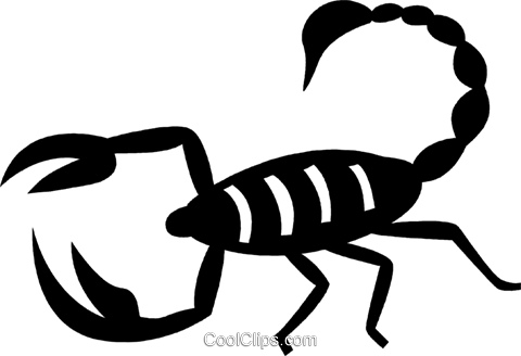 Scorpion Royalty Free Vector Clip Art Illustration - Escorpiao Vetor Png (480x328)