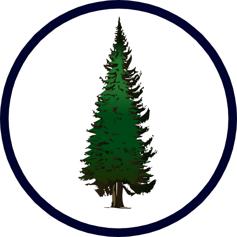 Pine Tree Clip Art , Png Download - Fir Clipart (997x997)