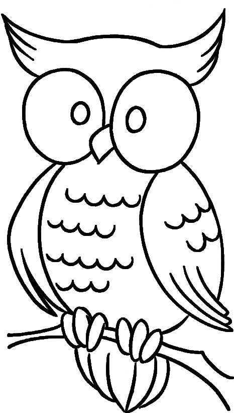 Cute Owl With Bulging Eyes Coloring Pages - Simple Owl Coloring Pages ...