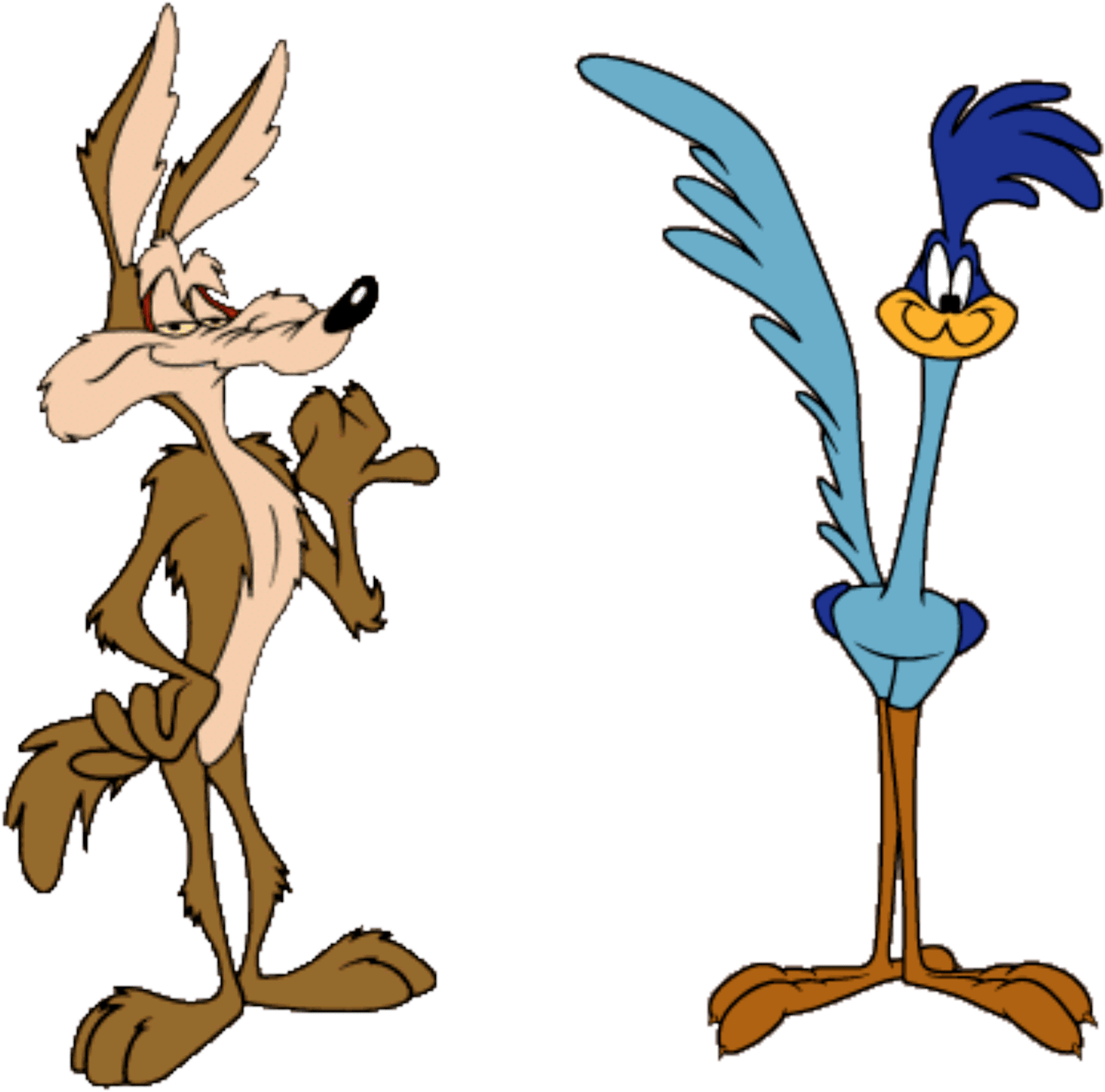 Road runner. Хитрый койот и дорожный бегун Looney Tunes. Луни Тюнз койот и дорожный бегун. Вайл и койот и дорожный бегун.