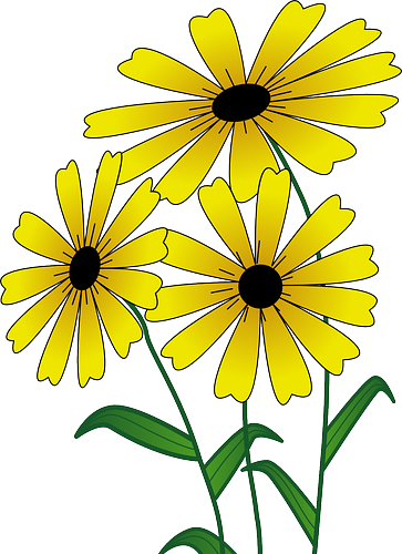 Cartoon Flower Bouquet - Simple Drawn Flower Outlines - Full Size PNG ...