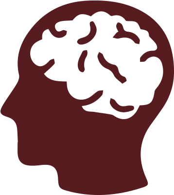 Diagram Of A Head Displaying The Brain - Brain - (2000x556) Png Clipart ...