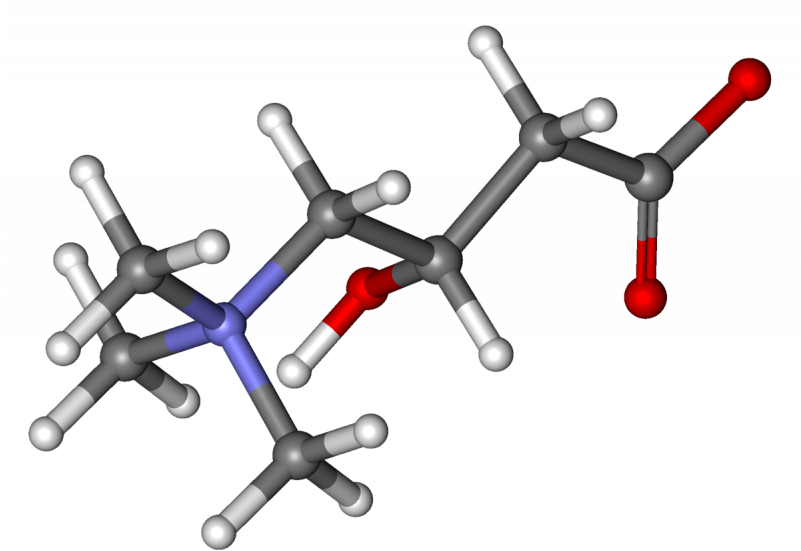 Карнитин молекула. L карнитин молекула. Молекула левокарнитина. L Carnitine molecule.