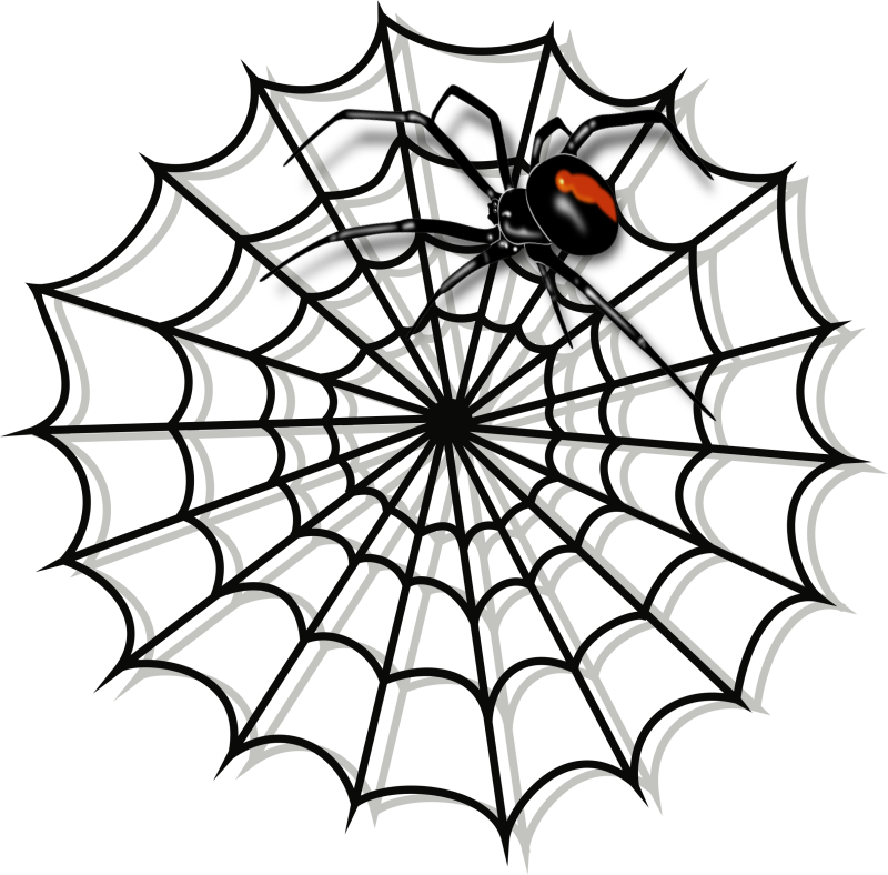 By Skinbus - Spider Web Clipart Black And White (800x788)