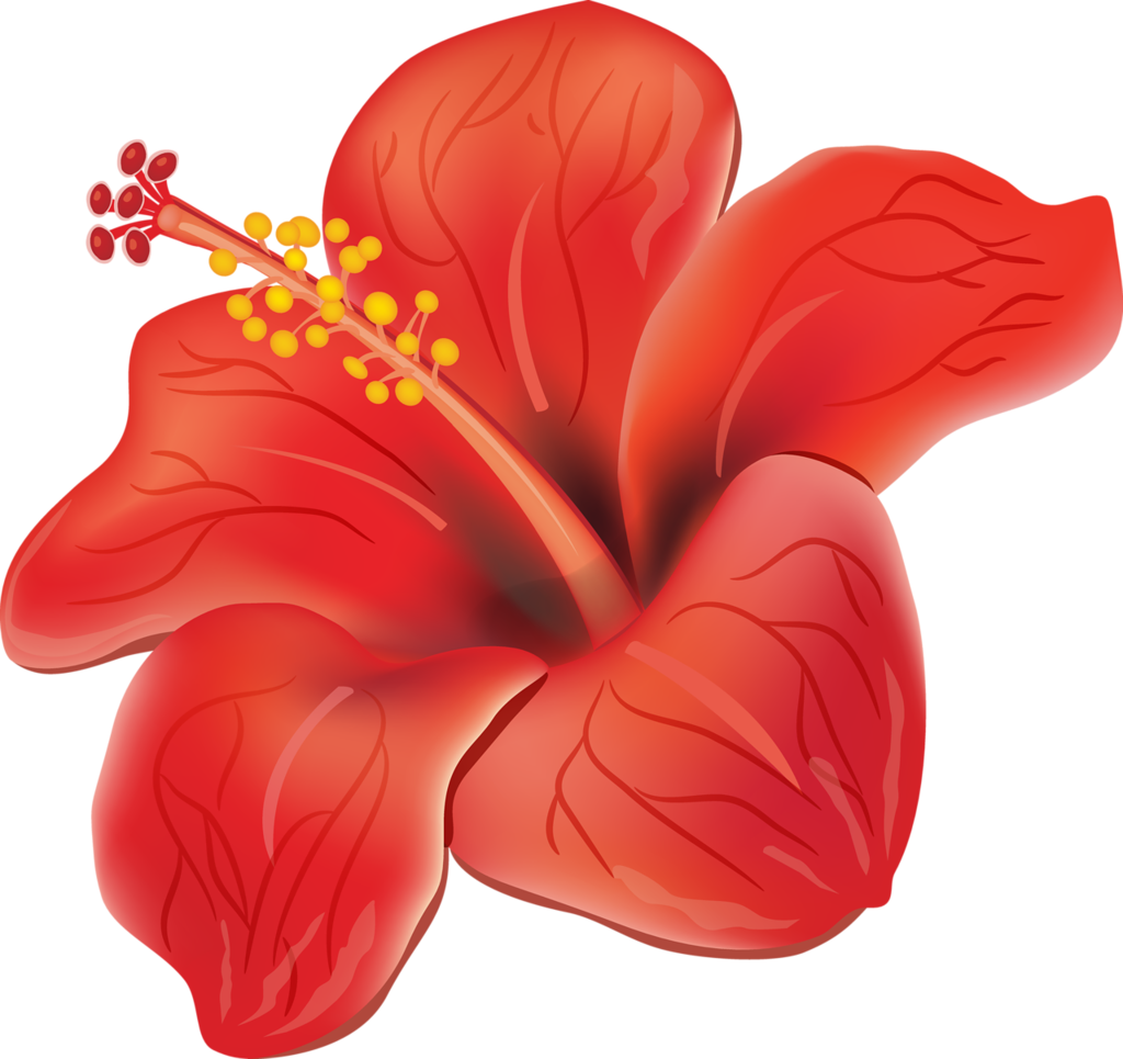 Яндекс.фотки переехали flower drawing, flower painting, hibiscus