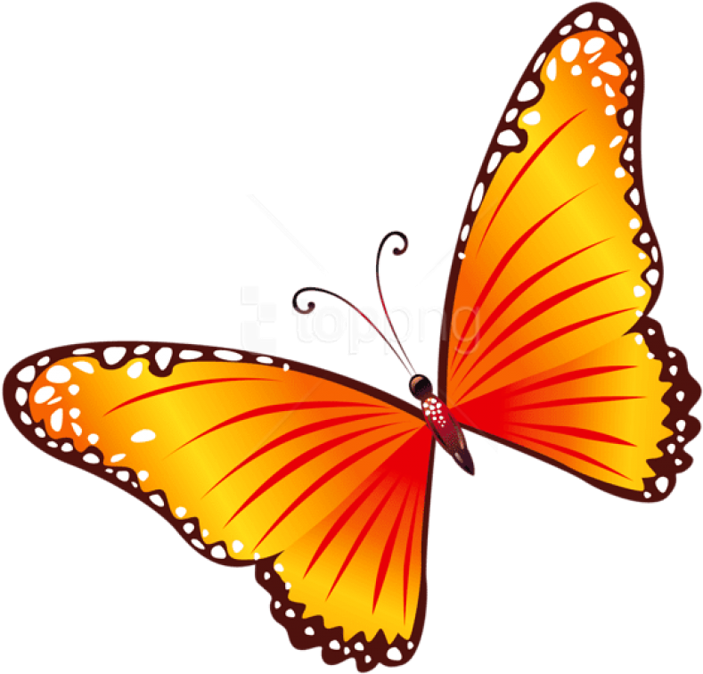 100 Butterfly Clipart Yellow And Red Butterfly 850x835 Png