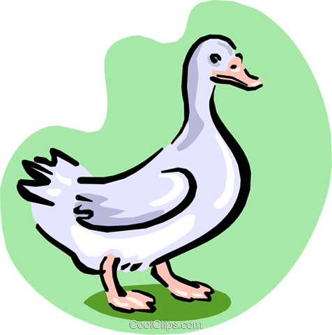 White Goose Royalty Free Vector Clip Art Illustration - Goose Animated ...