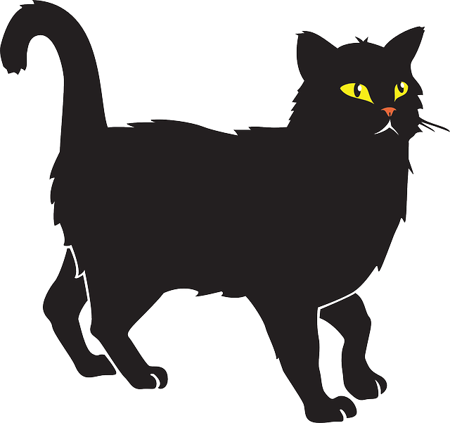 Whiskers Cat, Black, Halloween, Pet, Animal, Tail, - Cat Vector (640x601)
