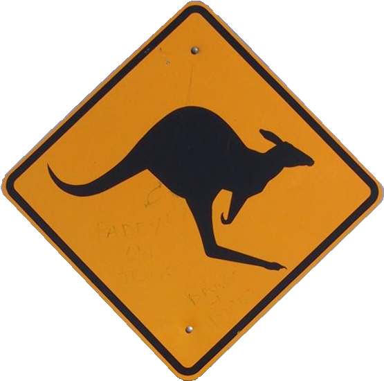 Kangaroo Png - Oamaru (581x572)