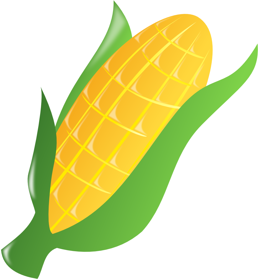 Cornucopia Black White Line Art 555px 56 - Ear Of Corn Clipart ...